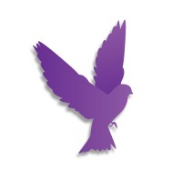 Purple Bird Media logo, Purple Bird Media contact details