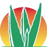 Aloe Jaumave logo, Aloe Jaumave contact details