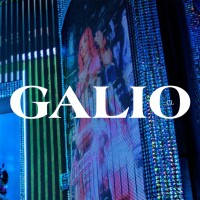 Galio logo, Galio contact details