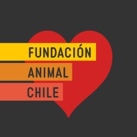 Fundación Animal Chile logo, Fundación Animal Chile contact details