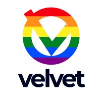 Velvet Consulting logo, Velvet Consulting contact details