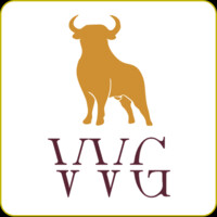 Vaccaro Ventures Group LLC logo, Vaccaro Ventures Group LLC contact details