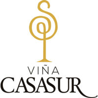 ViñaCasaSur logo, ViñaCasaSur contact details