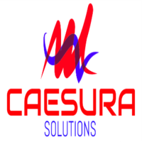 Caesura Solutions logo, Caesura Solutions contact details