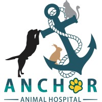 ANCHOR ANIMAL HOSPITAL logo, ANCHOR ANIMAL HOSPITAL contact details