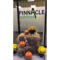 Pinnacle Nutrition logo, Pinnacle Nutrition contact details