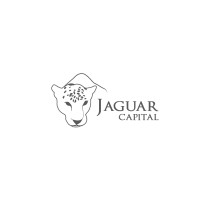 Jaguar Capital logo, Jaguar Capital contact details