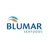 Blumar USA logo, Blumar USA contact details