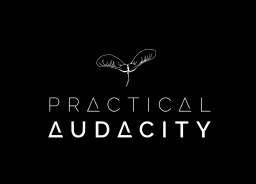 PRACTICAL AUDACITY LLC logo, PRACTICAL AUDACITY LLC contact details