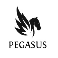 Pegasus Logistics LLC logo, Pegasus Logistics LLC contact details