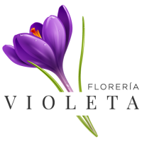 Florería Violeta logo, Florería Violeta contact details