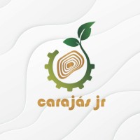 Carajás Jr - Serviços e Consultoria Mineral e Ambiental logo, Carajás Jr - Serviços e Consultoria Mineral e Ambiental contact details