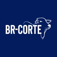 BR-Corte 4.0 logo, BR-Corte 4.0 contact details