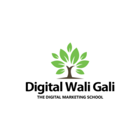 Digital Wali Gali - The Digital Marketing School logo, Digital Wali Gali - The Digital Marketing School contact details