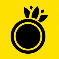 Pineapple MKT logo, Pineapple MKT contact details