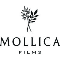 Mollica Films logo, Mollica Films contact details