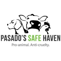 Pasado's Safe Haven logo, Pasado's Safe Haven contact details