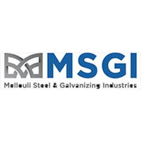 MSGI logo, MSGI contact details