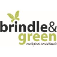 Brindle & Green Ecological Consultancy logo, Brindle & Green Ecological Consultancy contact details