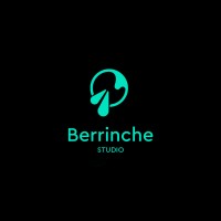 Berrinche Studio logo, Berrinche Studio contact details