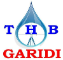 GTHB Bureau d'Etude Topographique et Hydraulique logo, GTHB Bureau d'Etude Topographique et Hydraulique contact details