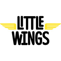 Little Wings Ltd logo, Little Wings Ltd contact details