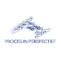 Process In Perspective logo, Process In Perspective contact details