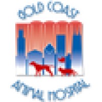 Gold Coast Animal Hospital logo, Gold Coast Animal Hospital contact details