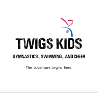 TWIGS KIDS logo, TWIGS KIDS contact details