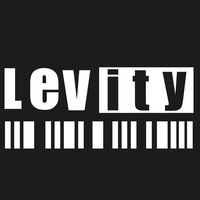 levity egypt logo, levity egypt contact details