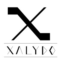 Xalydo Furniture Private Limited logo, Xalydo Furniture Private Limited contact details