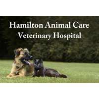 Hamilton Animal Care Veterinary Hospital logo, Hamilton Animal Care Veterinary Hospital contact details