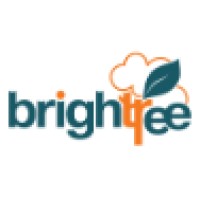 Brightree Pte Ltd logo, Brightree Pte Ltd contact details