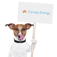 Canopy Energy logo, Canopy Energy contact details