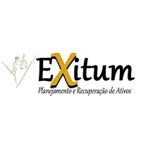 Exitum Planejamento e Recuperação de Ativos logo, Exitum Planejamento e Recuperação de Ativos contact details