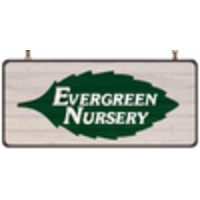 Evergreen Valley Nursery logo, Evergreen Valley Nursery contact details