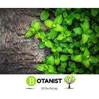 Botanist of The Valley logo, Botanist of The Valley contact details