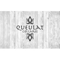 Queulat Collares logo, Queulat Collares contact details