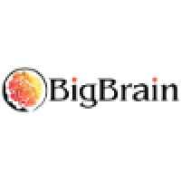 BigBrain LLC logo, BigBrain LLC contact details