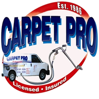 Carpet Pro logo, Carpet Pro contact details