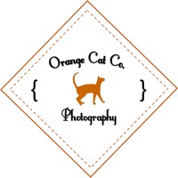 Orange Cat Co Photography logo, Orange Cat Co Photography contact details