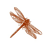 Dragonfly Nutrition LLC logo, Dragonfly Nutrition LLC contact details