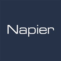 Napier Partnership Limited logo, Napier Partnership Limited contact details