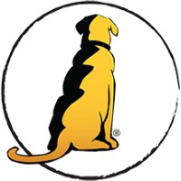 YellowDog Productions LLC logo, YellowDog Productions LLC contact details