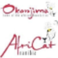 AfriCat and Okonjima Namibia logo, AfriCat and Okonjima Namibia contact details