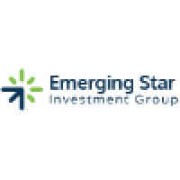 Emerging Star Investment Group (ESIG) logo, Emerging Star Investment Group (ESIG) contact details