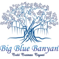 Big Blue Banyan (India) Pvt. Ltd. logo, Big Blue Banyan (India) Pvt. Ltd. contact details