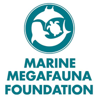 Marine Megafauna Foundation logo, Marine Megafauna Foundation contact details