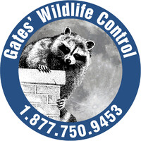 Gates Wildlife Control logo, Gates Wildlife Control contact details