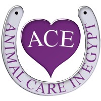 Animal Care in Egypt logo, Animal Care in Egypt contact details